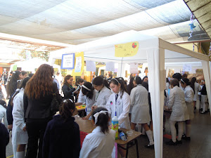 Feria de Cs Naturales