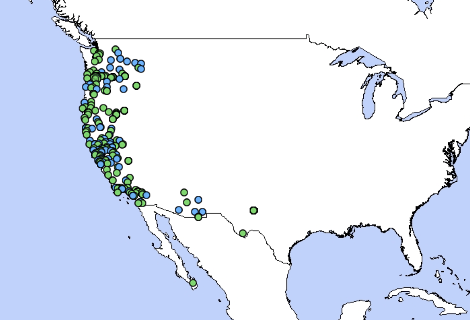 at a number of other puget sound locations as well it is more common in western oregon and much of california here s the range map for this species at a number of other puget sound locations as well it is more common in western oregon and much of california here s the range map for this species