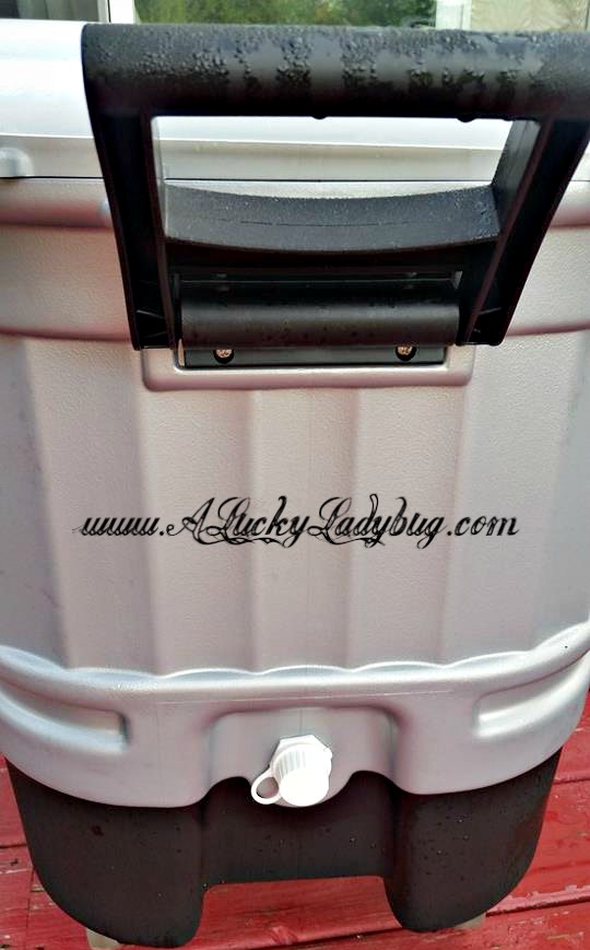 A Lucky Ladybug Party Hard w/ Igloo® Party Bar™ Review