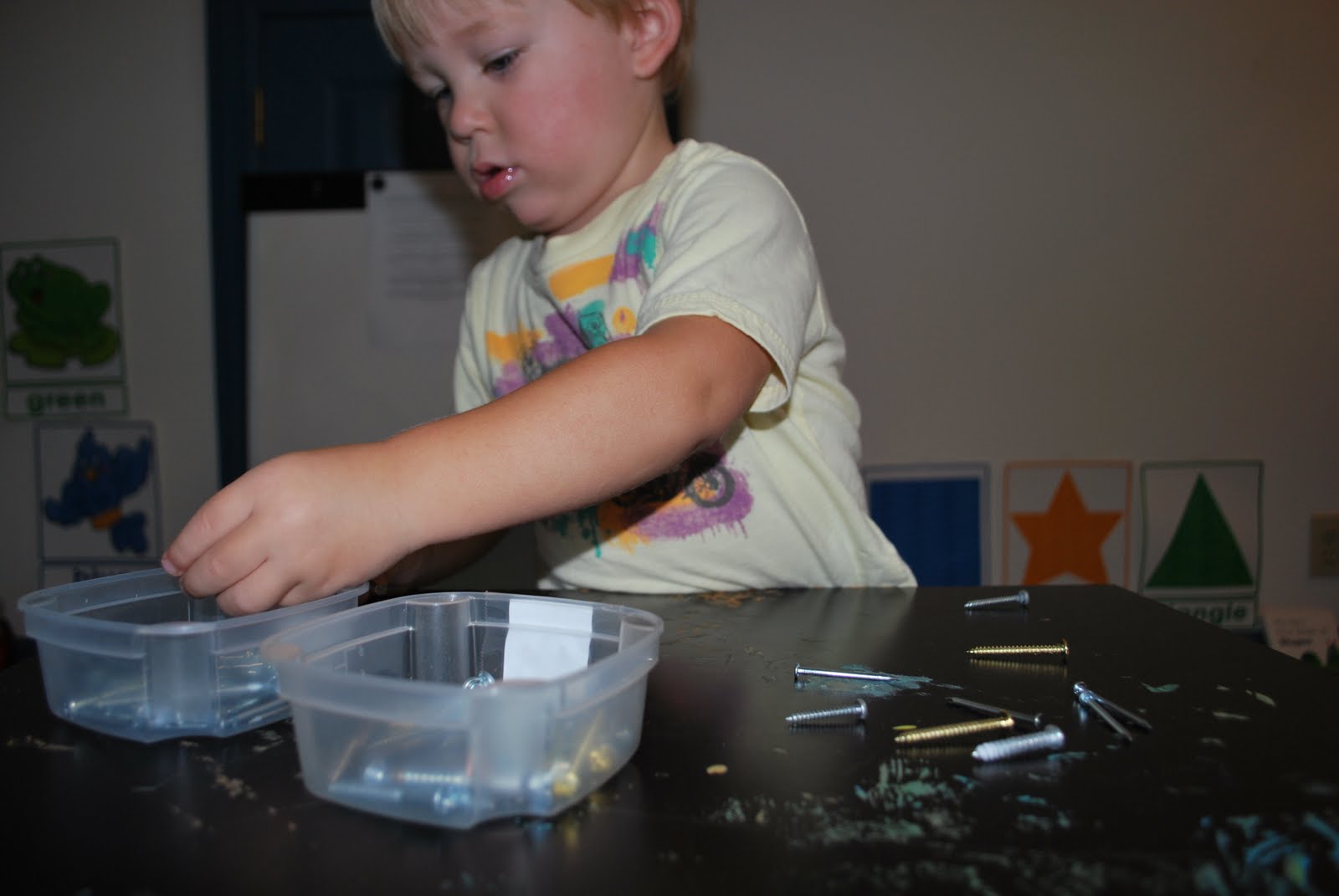 Nail and Screw Sorting