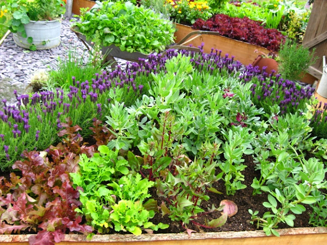ideias para um jardim lindoIdeias para deixar o seu jardim lindo ideias para um jardim lindoIdeias para deixar o seu jardim lindo