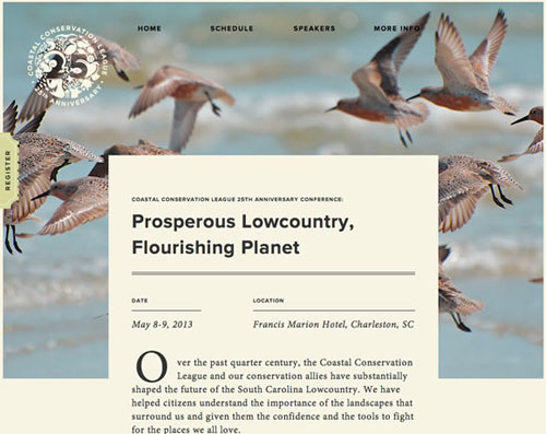 clean website design