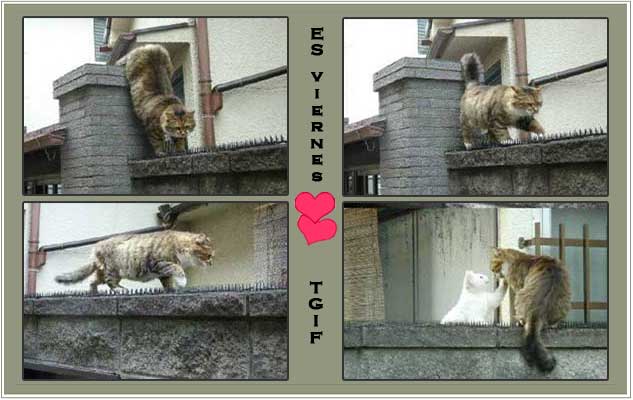 El amor todo lo puede Love Beats All Odds