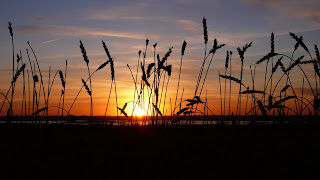 Sunset over the lake