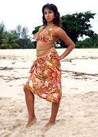 Sanjana, Hot, In, Beach
