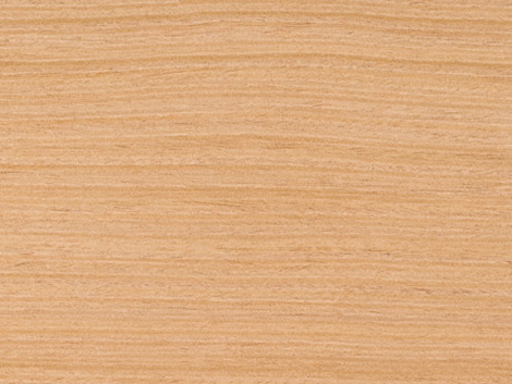 MADERAS Y ESTIBAS CARTAGENA: Madera Roble