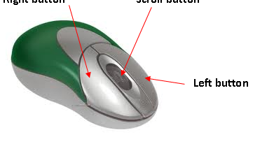 click and drag the bone name to its location in the picture click and drag the bone name to its location in the picture