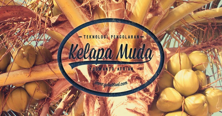 Gubuk Tani Teknologi Pengolahan Buah Kelapa Muda Gubuk Tani Teknologi Pengolahan Buah Kelapa Muda