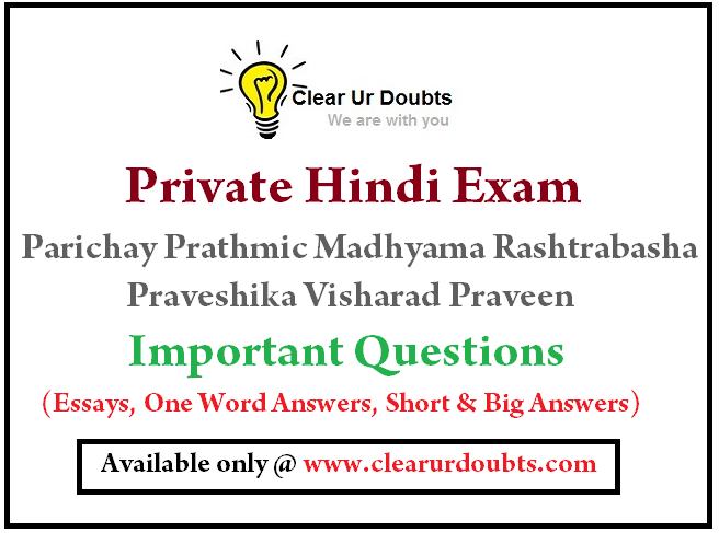 Meaning of essay writing in hindi