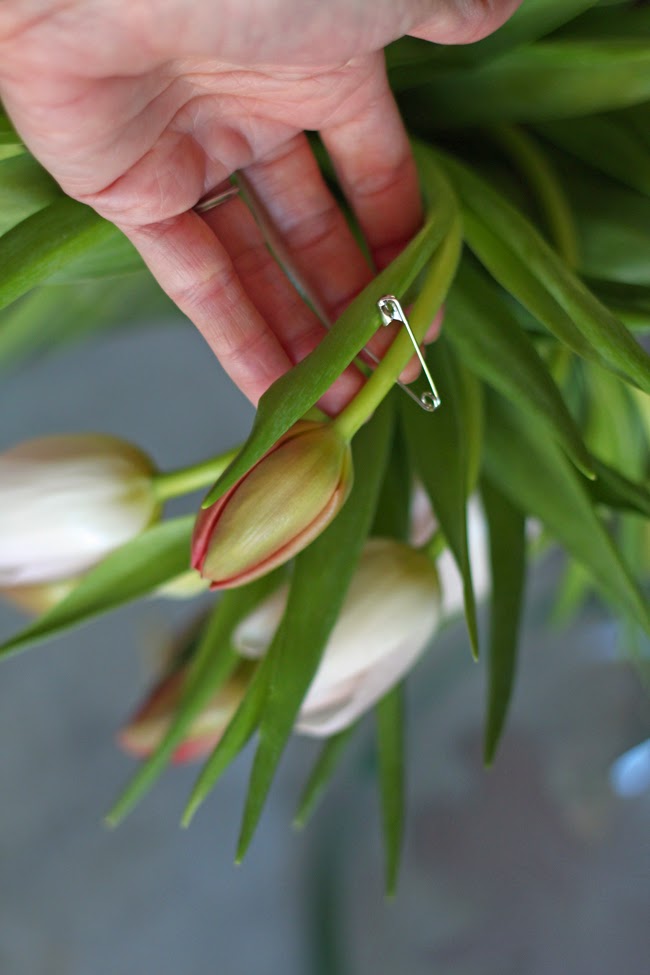 How To Fix Droopy Tulips! Channeling Audrey