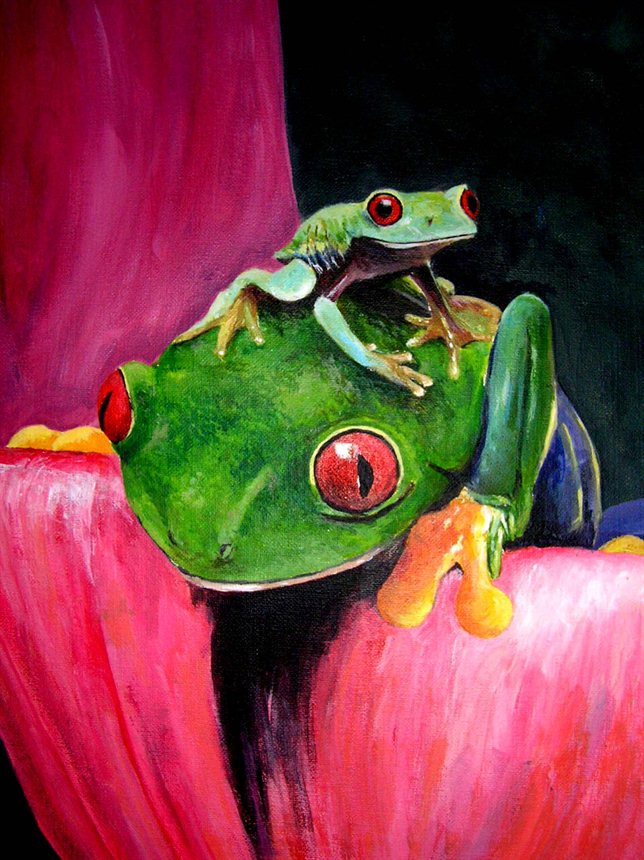 Just Watching the Wheels Go Round The RedEyed Green Tree Frog Symbolism