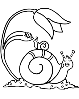 desenho de caracol para pintar