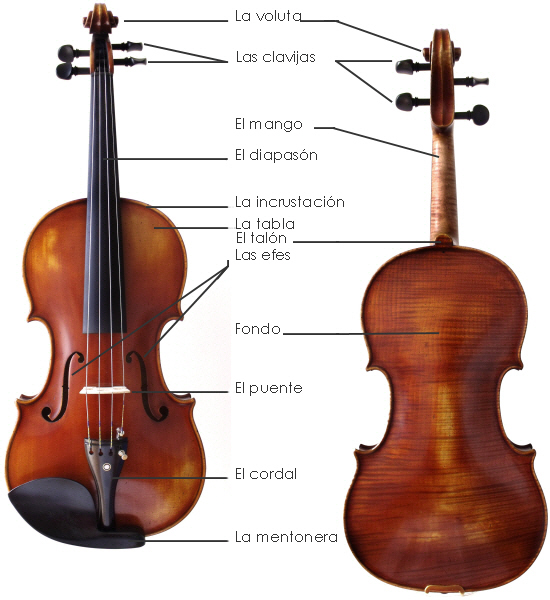 MUSICAL GÁLDAR Partes de la Viola