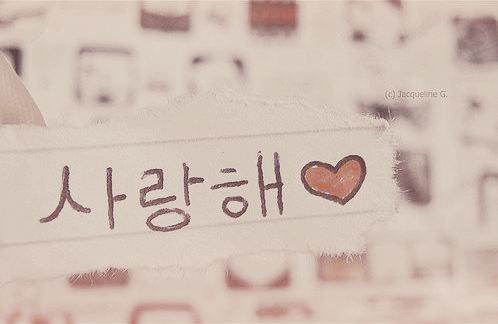 Watasiwanaya S Area Kamus Cinta Dalam Bahasa Korea