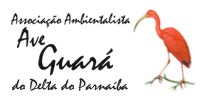 Blog Ave Guará