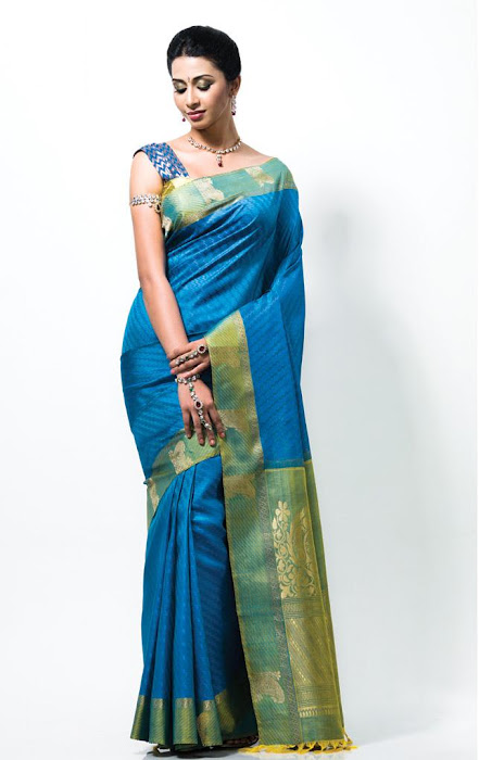gayathiri wonderful saree ad collections 2012 cute stills