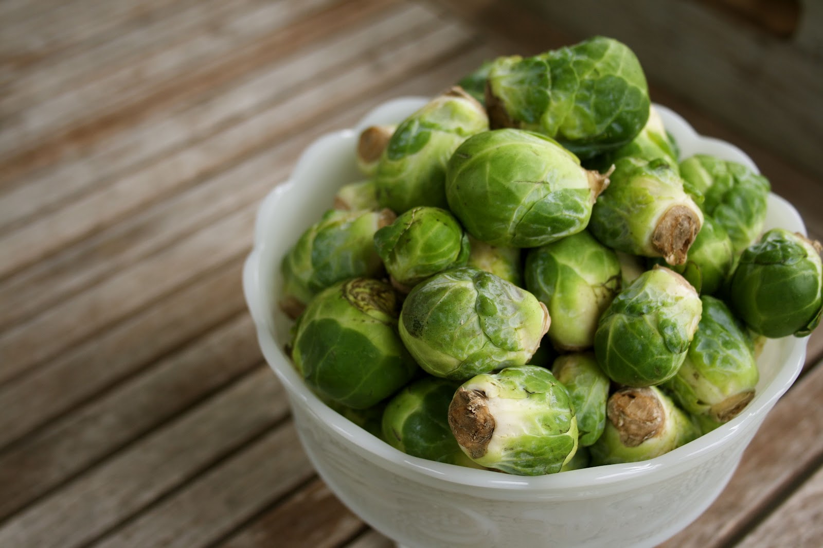 Experience the Wonderful. the old brussel sprout.
