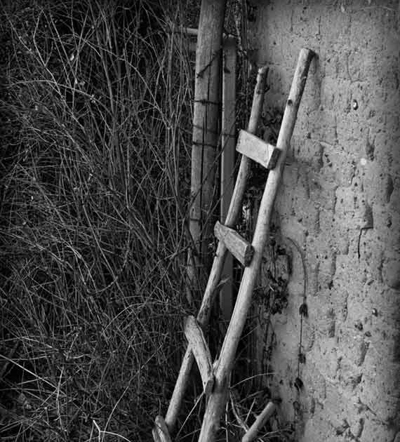Luis Saldaña: sencilla escalera rustica conversando con la pared de