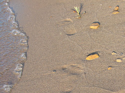 Little Footprints