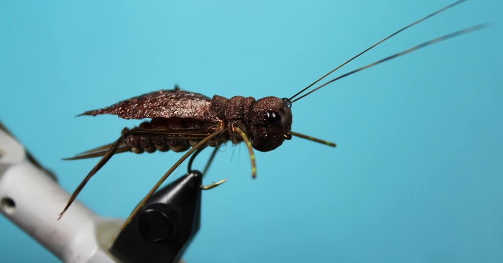 Fly Tying Nation EA Foam Cricket