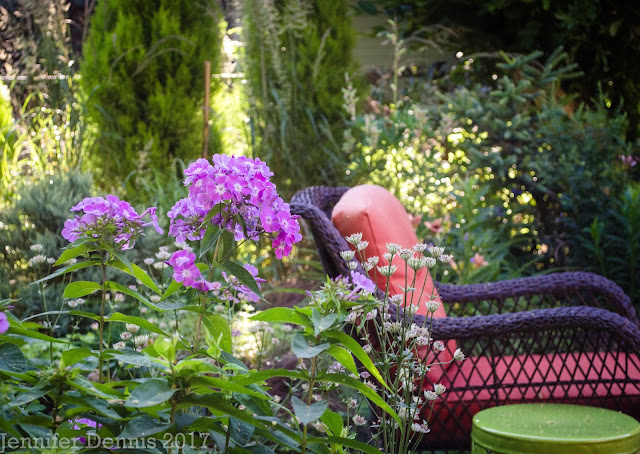 Amazon Com Proven Winners Hydprc3136101 Tuff Stuff Ah Ha Live