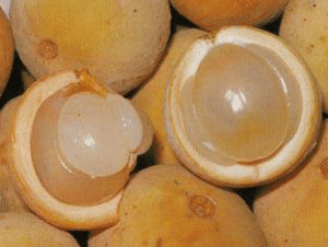 Warehousehealthy.blogspot.com: Did you know Langsat fruit ...