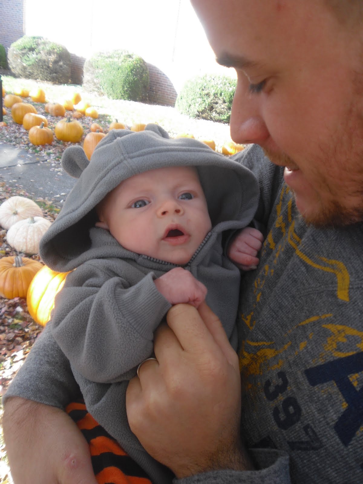 The Newfangled Housewife October 2011