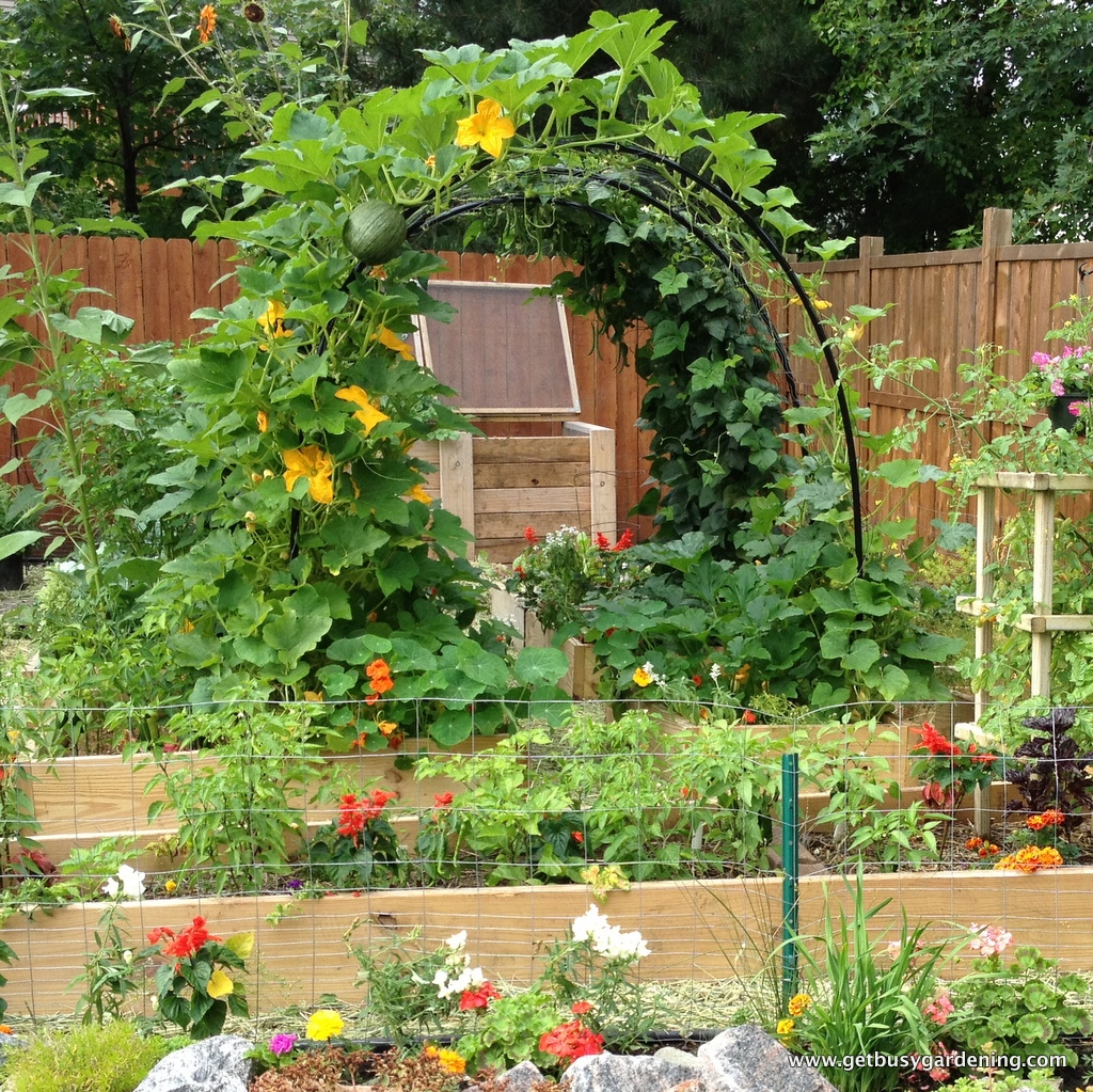 gardening annual plant and garden Have you ever perused the dizzying variety of annuals and perennials and pondered which ones might be best for your garden a good place to start is in. gardening annual plant and garden Have you ever perused the dizzying variety of annuals and perennials and pondered which ones might be best for your garden a good place to start is in.