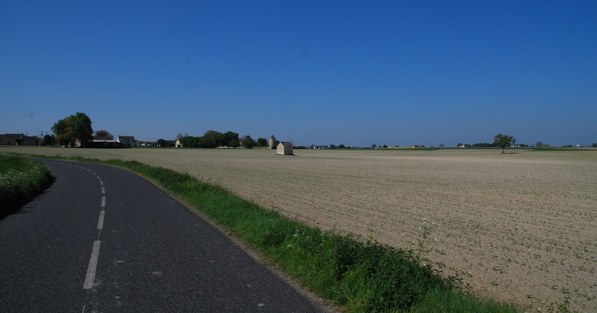 Mr. and Mrs. in PARIS French Wine Country Part Une