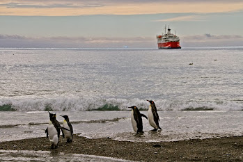 SOUTH GEORGIA ISLAND, Southern Ocean