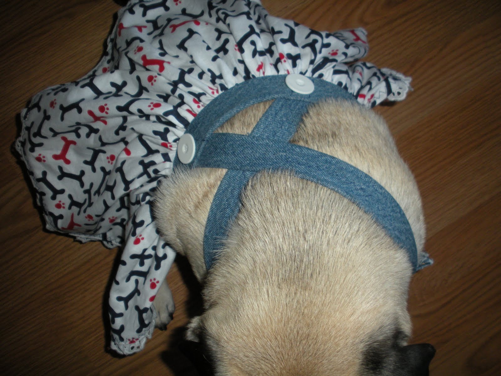 Pocket Pug Pocket Pug