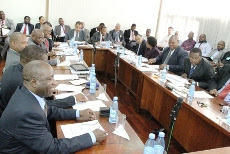 Previsto forte aumento na produção de camarão Previsto forte aumento na produção de camarão