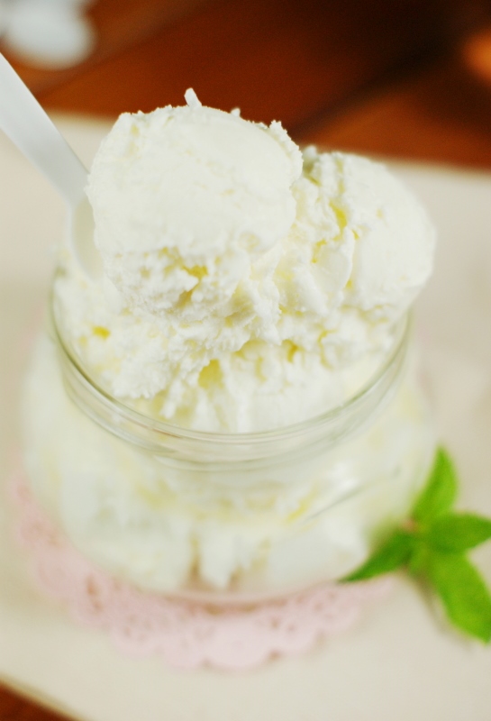 3Ingredient Creamy Coconut Ice Cream {No Machine Needed} The Kitchen