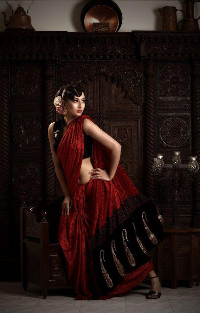 Sexy Saree Sexy Saree