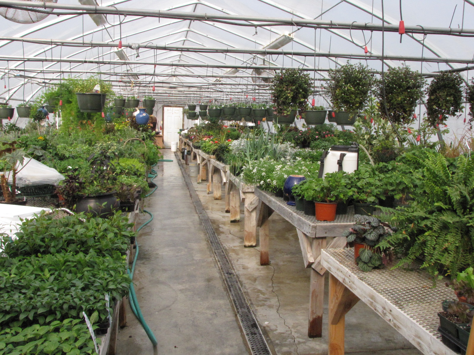 Lockwood Lavender Farm Watson Greenhouse Lafayette, NY