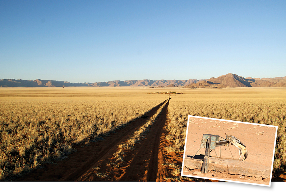 Ynas Reise Blog | Gunsbewys - eine Farm in Namibia Ynas Reise Blog | Gunsbewys - eine Farm in Namibia