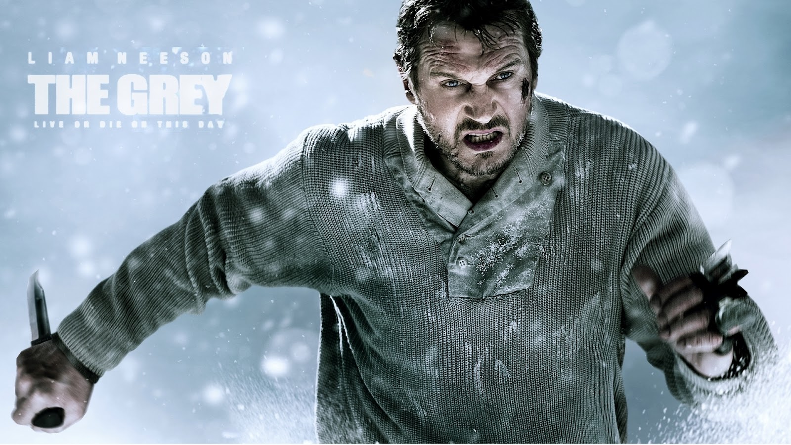 http://2.bp.blogspot.com/-qIcWDcMHVcI/T1JMKVi6tVI/AAAAAAAAKlQ/5ZhY944WSCs/s1600/The+Grey+Wallpaper.jpg