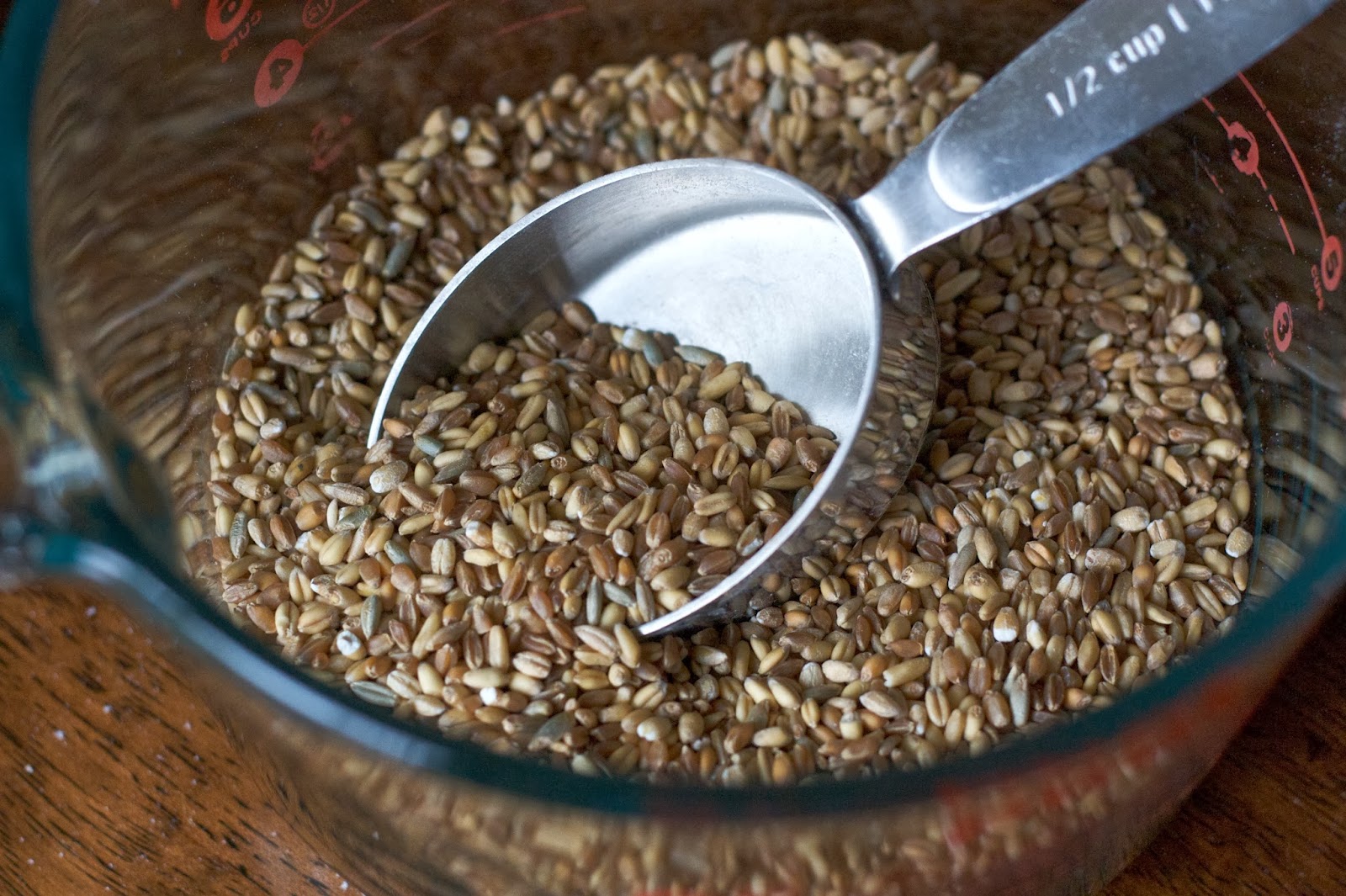 Buckwheat diet: weight correction without harm to the body Buckwheat diet: weight correction without harm to the body
