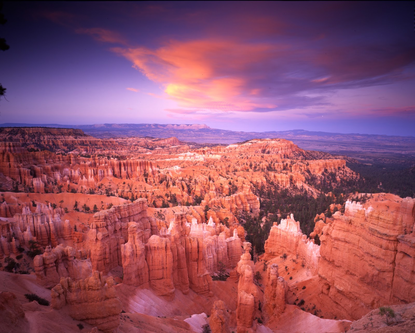 Family Tours Of The Grand Canyon Family Tours Of The Grand Canyon