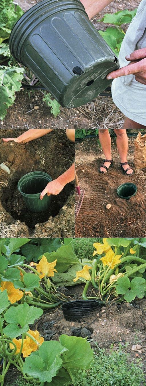 Fun in Pictures: Next Garden Projects DIY