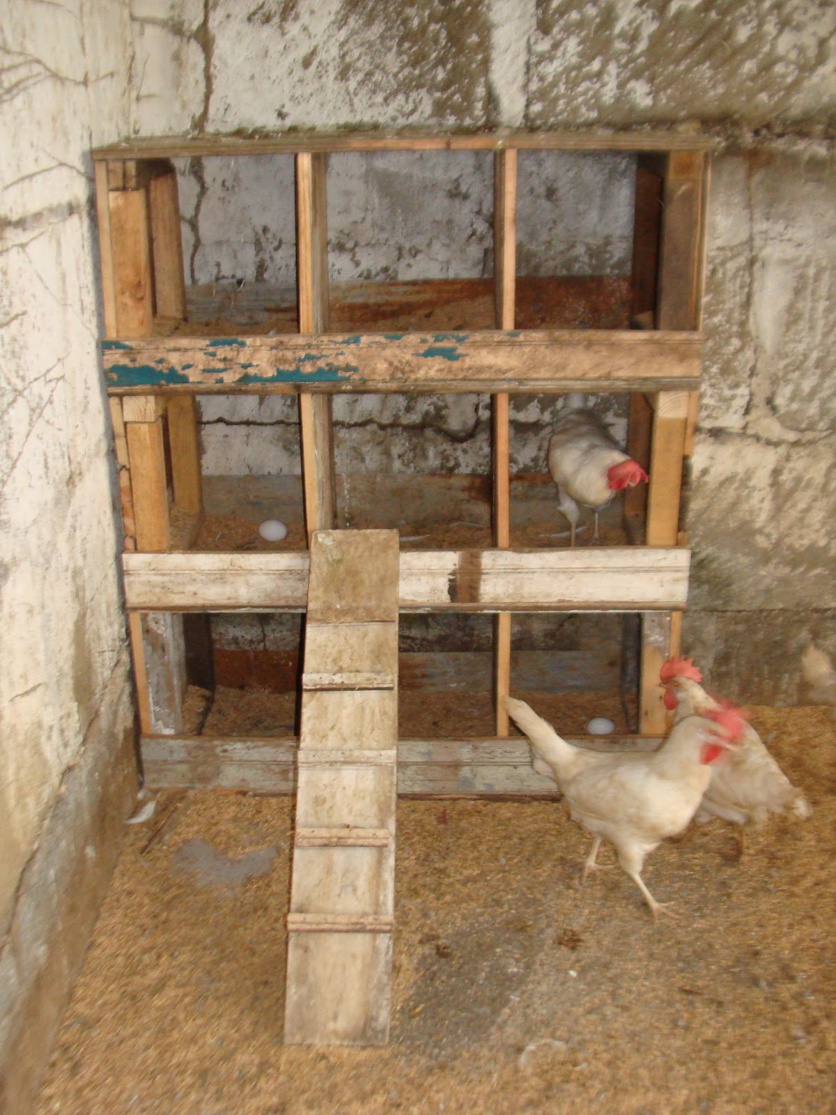 El Diario de La Finca: Construccion de Nidos y Comederos