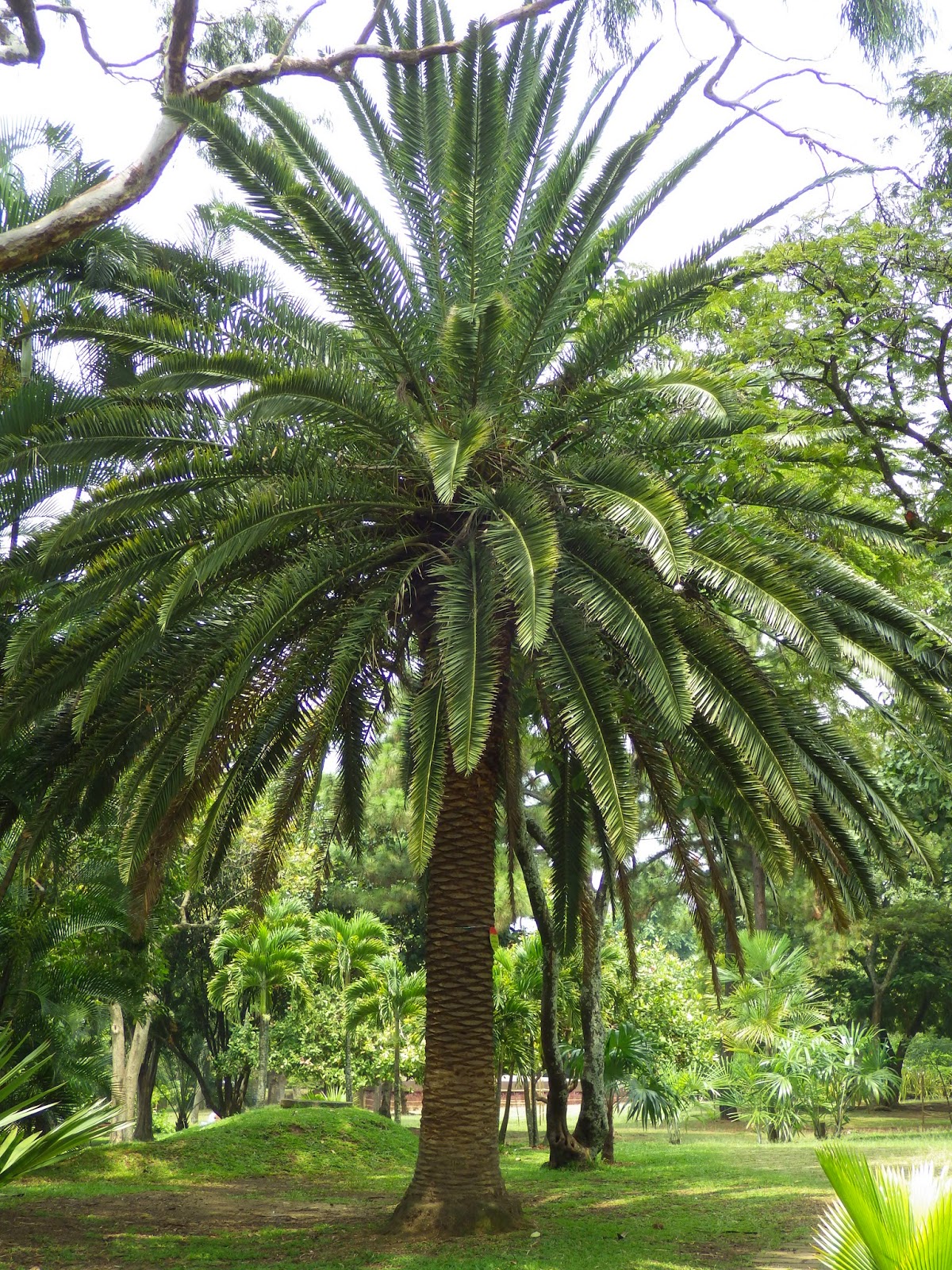 on rencontre parfois des personnes
