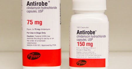 clindamycin side effects in dogs vet clindamycin antirobe in the dose rate info side effects clindamycin side effects in dogs vet clindamycin antirobe in the dose rate info side effects