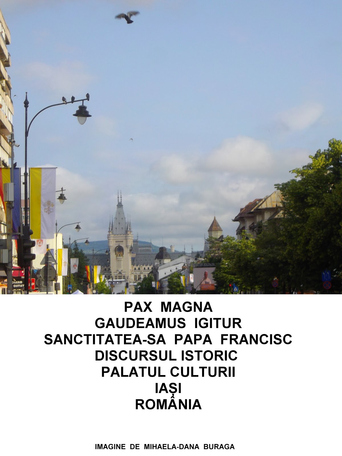 GAUDEAMULS IGITUR...VIZITA SANCTITĂȚII-SALE PAPA FRANCISC ÎN ROMÂNIA,1 IUNIE 2019