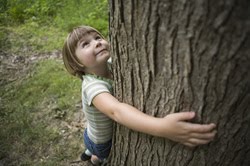 Educación ambiental para o desenvolvemento