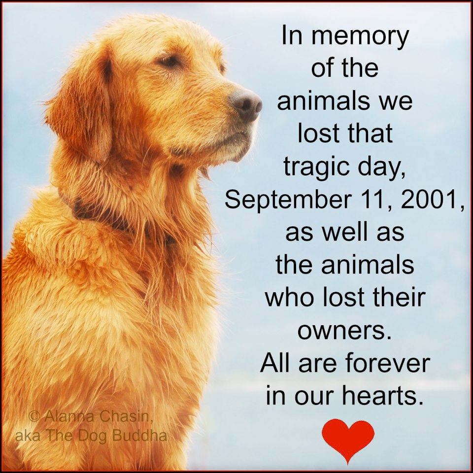 Ladiez of Beaglebratz Manor WE SHALL NEVER