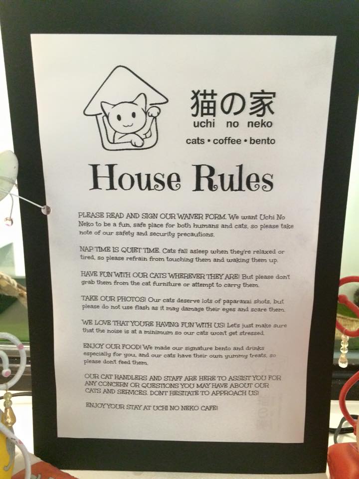 The Cat House Cafe Adorable Cats & Yummy Bento Meals It's Me, Gracee