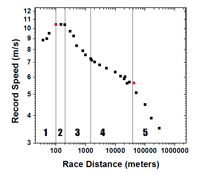 PostDoc Ergo Propter Hoc An empirical look at the scaling of world