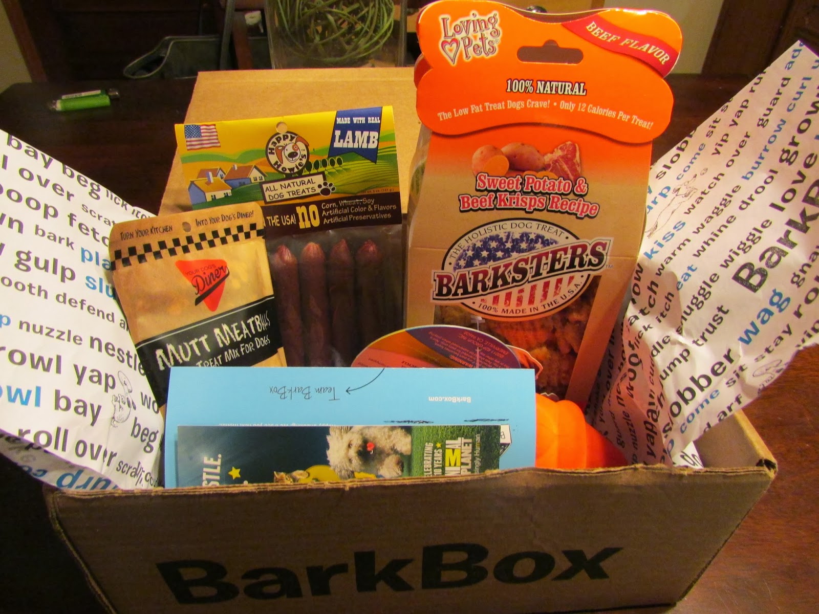 My Rotten Dogs January 2014 BarkBox Review