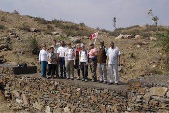 INDIA 2011: DWC Team's and their completed project